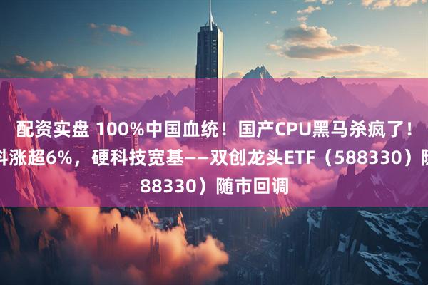 配资实盘 100%中国血统！国产CPU黑马杀疯了！龙芯中科涨超6%，硬科技宽基——双创龙头ETF（588330）随市回调
